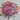 Moana Theme Friendship bracelets-Luxury party bag fillers - Party bag essentials #
